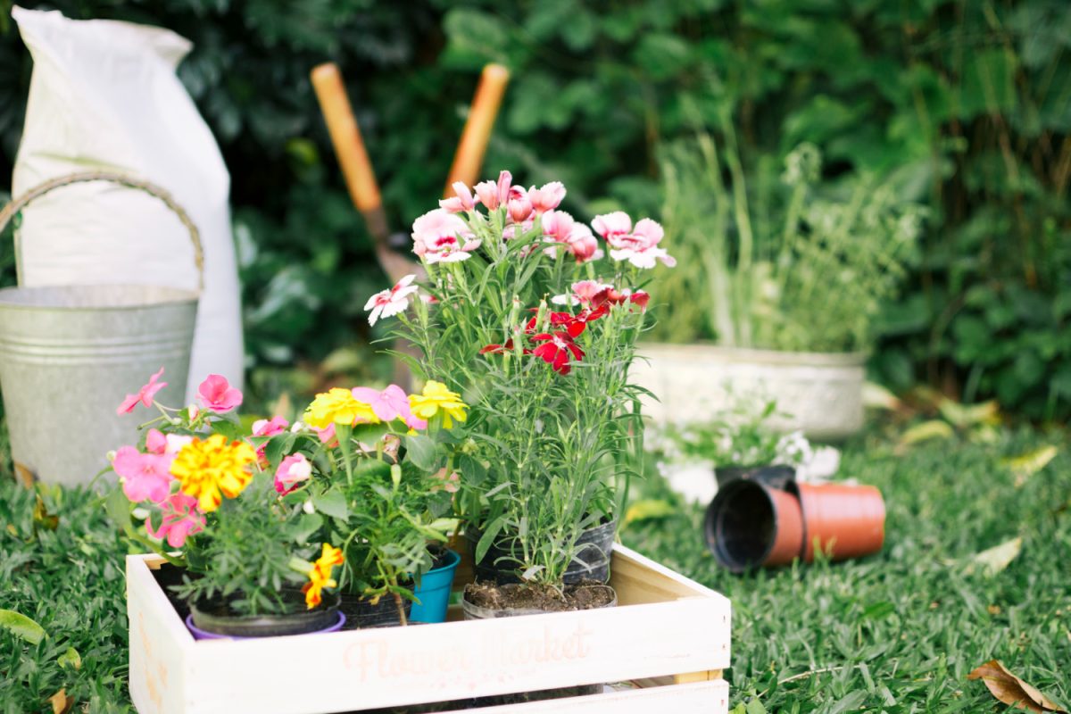 90+ tips to spruce up your small garden