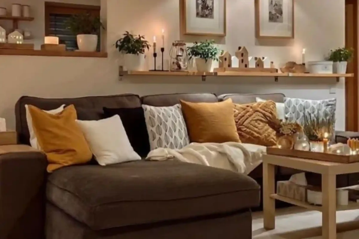 Furniture Ideas
